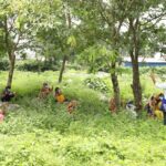 Covid-19 Relief Program